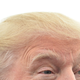 Illustration for article titled Report: NFL Owners Admit Donald Trump Squeezed Them On Anthem Protests